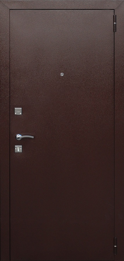 Феррони Входная дверь Гарда mini, арт. 0001336 - фото №1 (внешняя сторона)